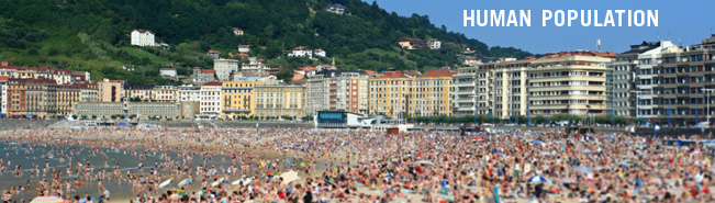 Overpopulation