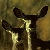 Mule deer