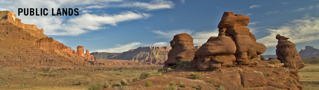 Public Lands