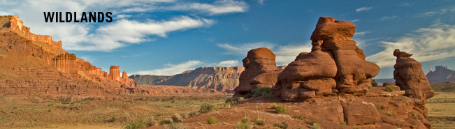 Public Lands