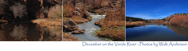 Save the Verde