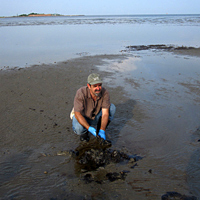 Kieran Suckling on oiled Gulf shore