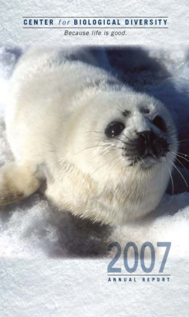 annual report