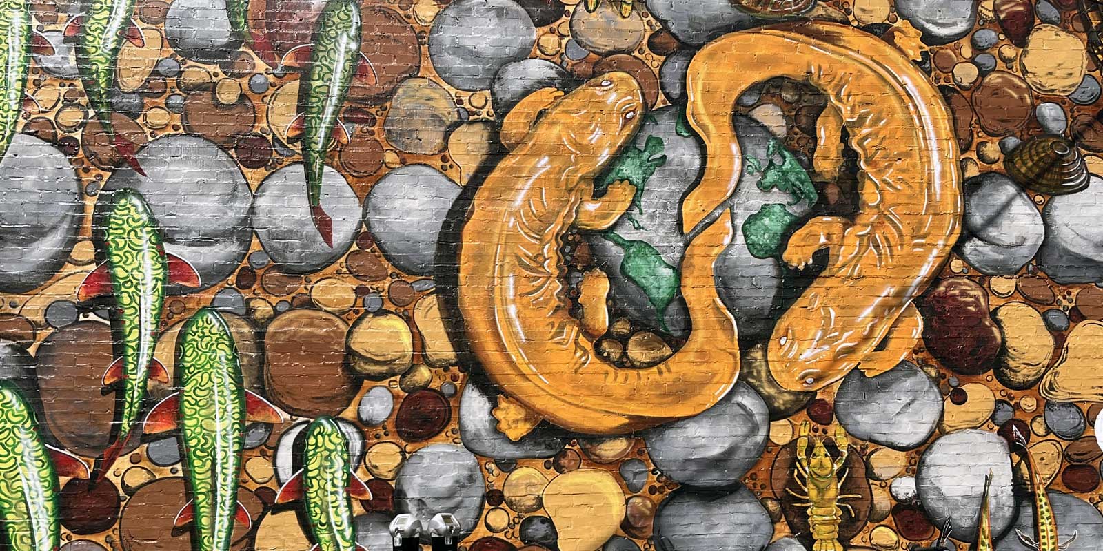 Hellbender endangered species mural