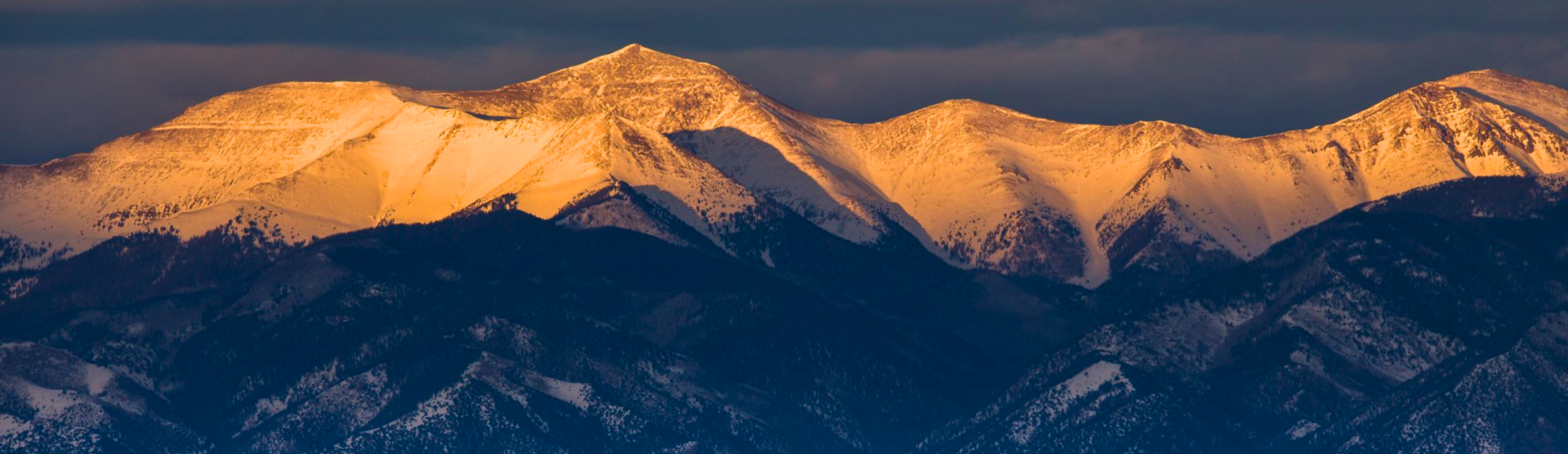 Cococino National Forest with a For Sale sign