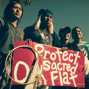 Native Oak Flat defenders