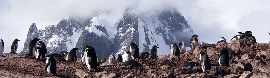 Climate Change is Here Now