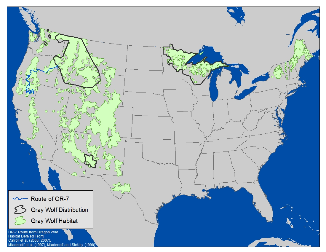Map U S Gray Wolf Distribution And Habitat Map U S Gray Wolf Distribution And Habitat