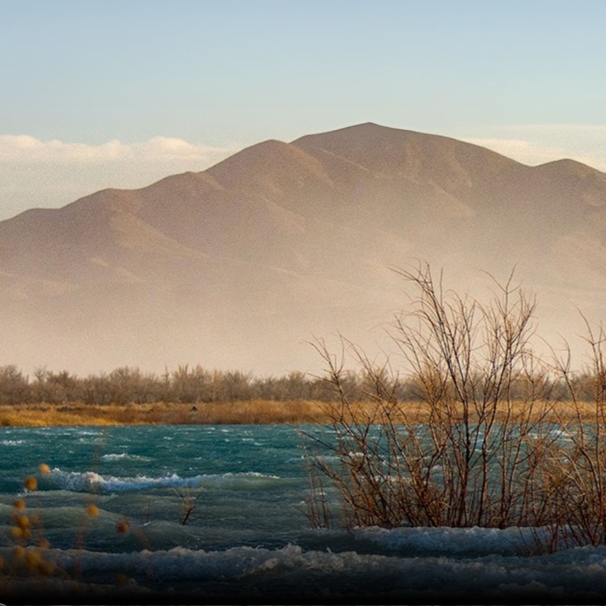 Ash Meadows National Wildlife Refuge