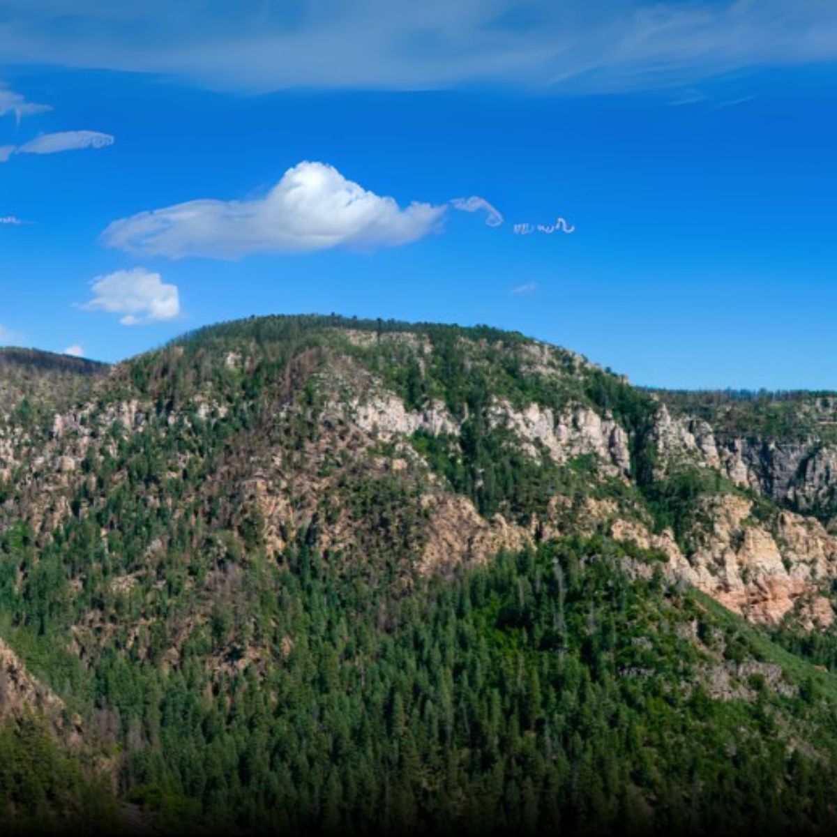 Oak Creek Canyon