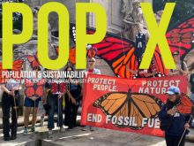 Sign up for our Pop X newsletter.
