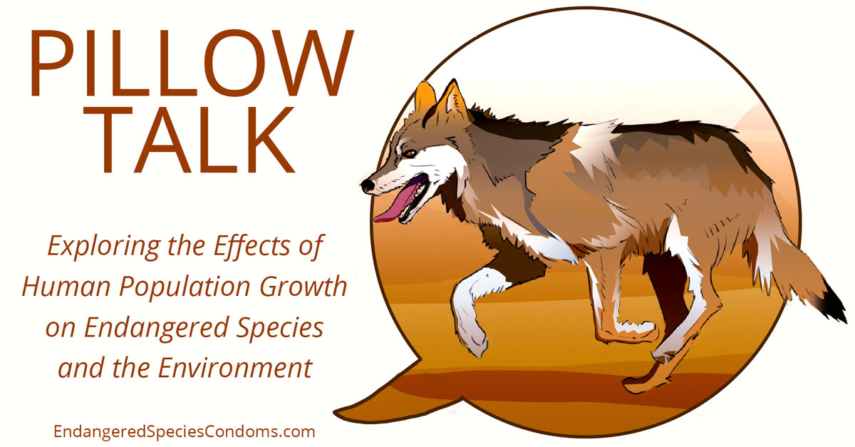 Pillow Talk: Exploring the Effects of Human Population Growth on Endangered Species and the Environment.
