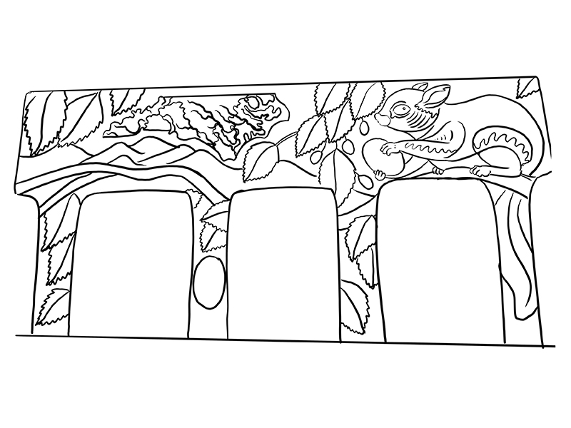 Carolina northern flying squirrel