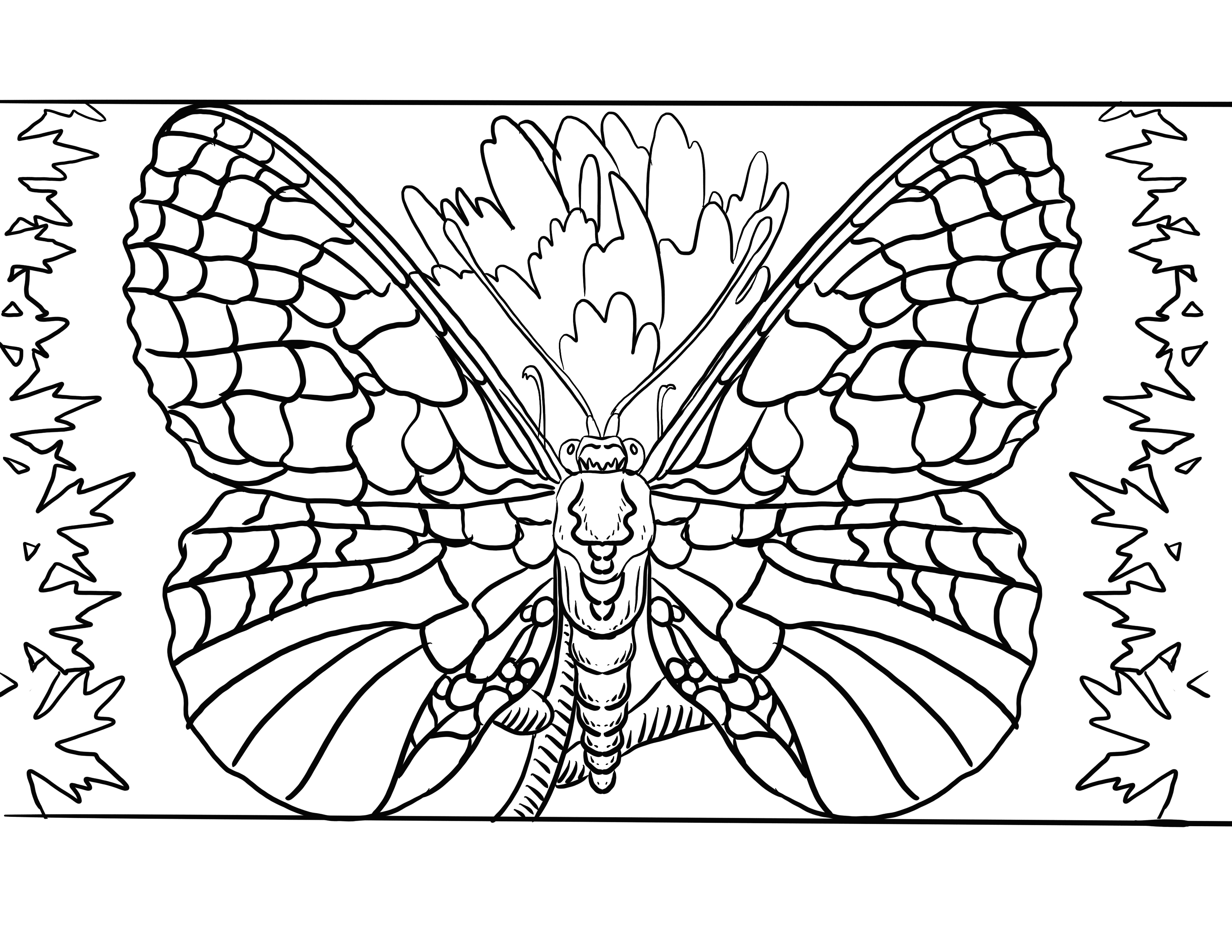 Taylor's checkerspot butterfly