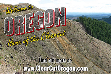 Clear Cut Oregon