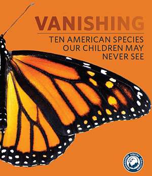 Vanishing