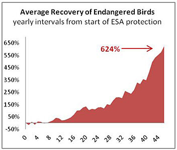 Average Recovery of Birds