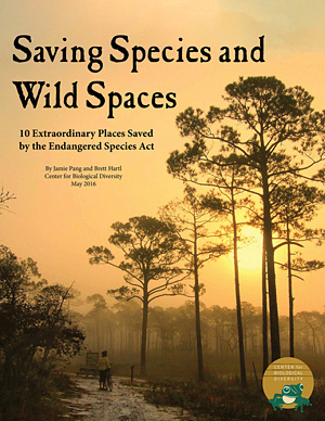 Saving Wildlife and Wild Places 