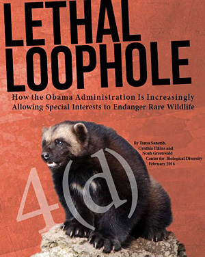 Lethal Loophole