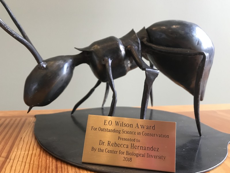 E.O. Wilson award