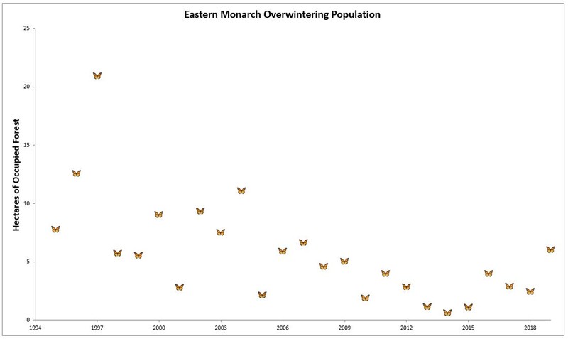 Eastern monarch population