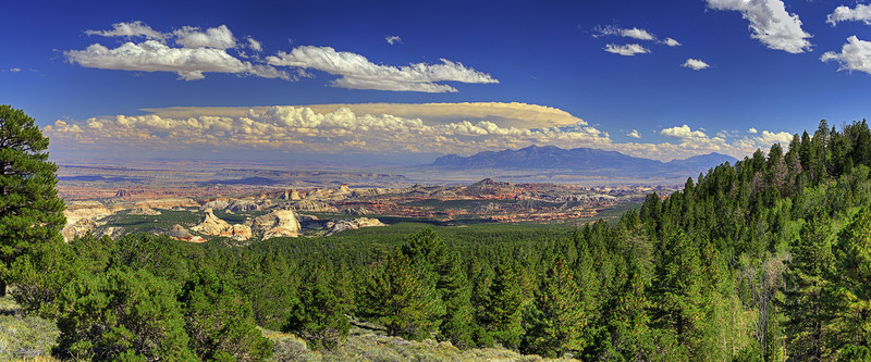 Fishlake National Forest
