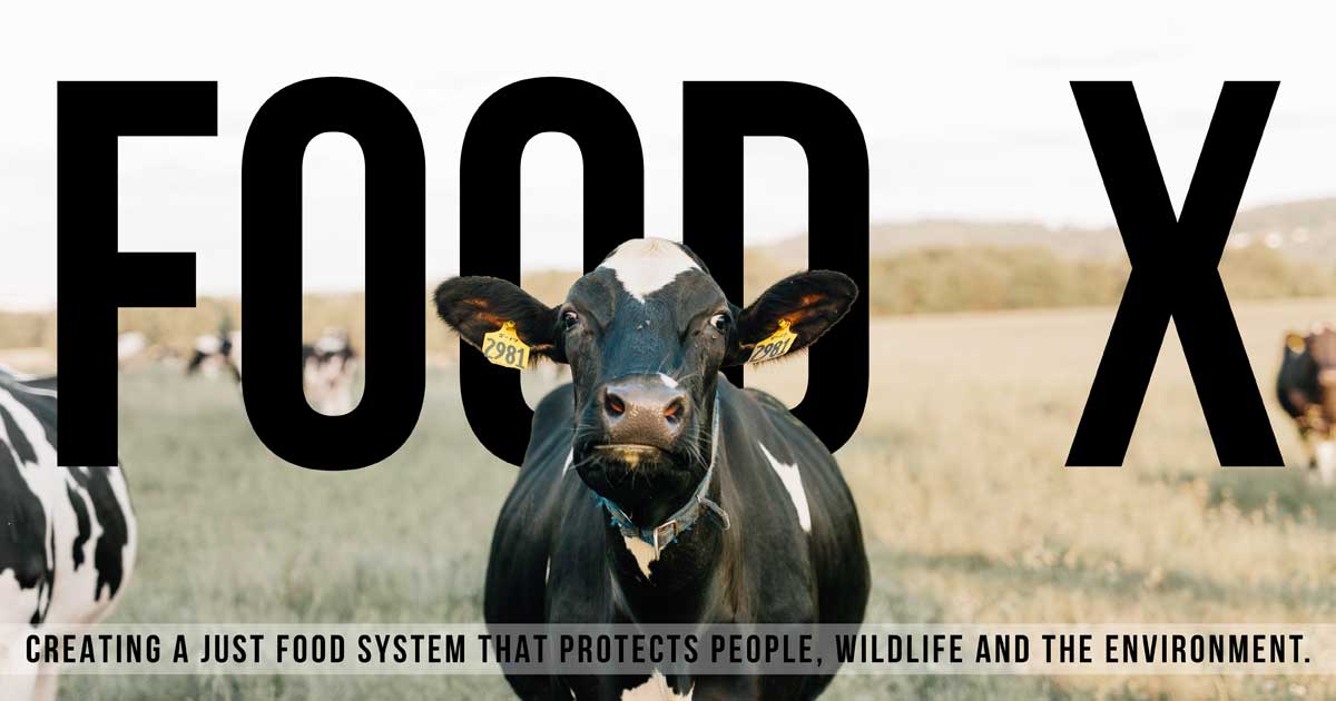 Food X: Creating a Just Food System That Protects People, Wildlife and the Environment.