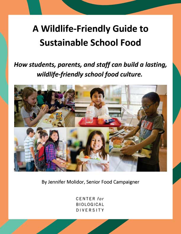 Cover of guide, with images of happy children