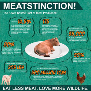 Meatstinction Infographic