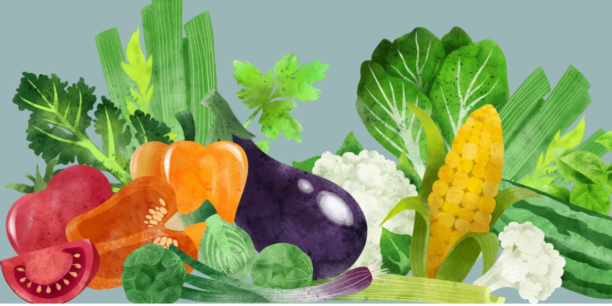 Illustrated various veggies