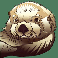 Endangered Species Condoms