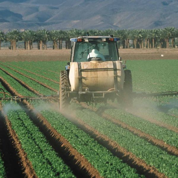 Put a Stop to ‘Forever’ Pesticides