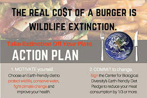 Download and share our flyers and factsheets