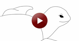 JK Studios video screen grab