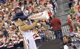 Wildcat mascot