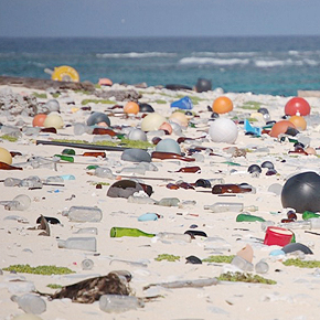 Beach strewn with plastic trash