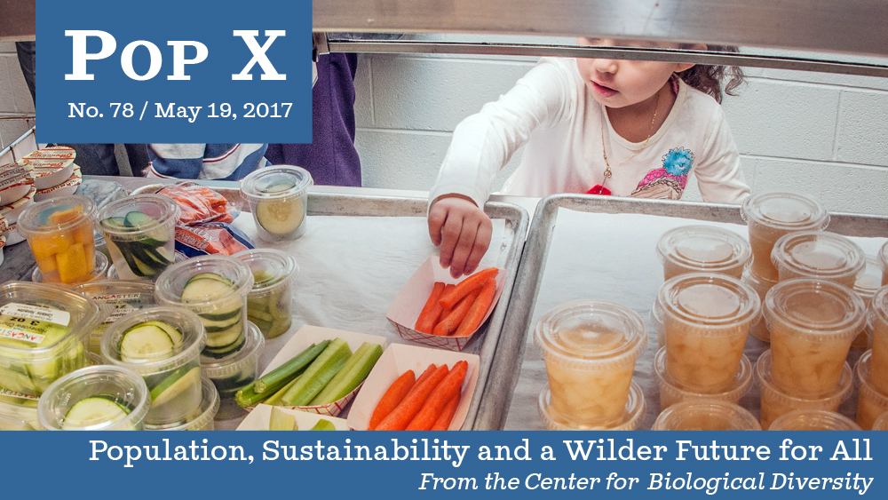 Student selects school lunch