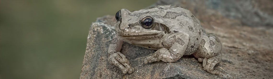 What Is Sustainability?