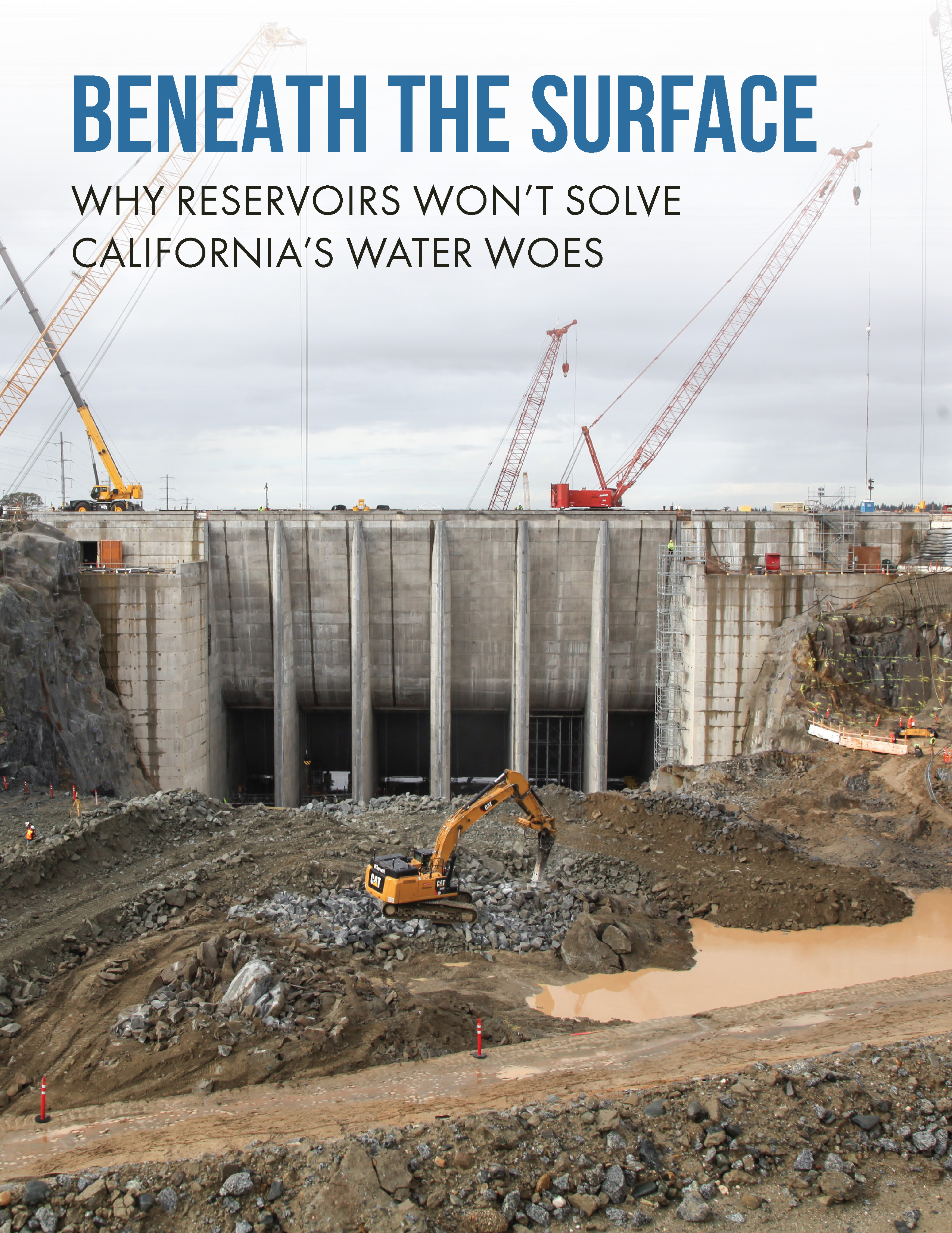 Alternative Economies: Uplifting Activities for a Sustainable Future, U.S. Survey Results