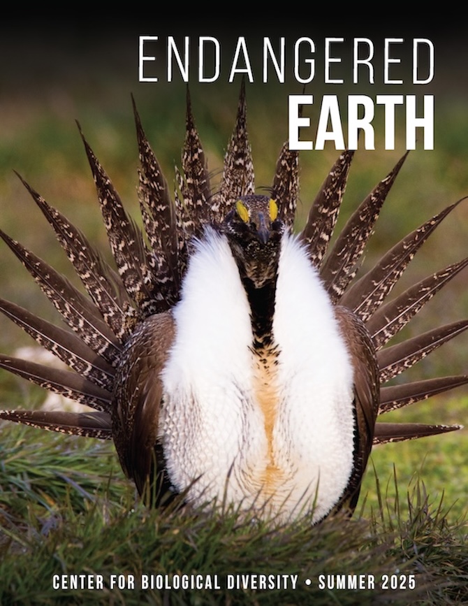 Membership newsletter cover
