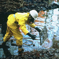 Oil pollution