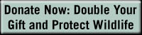 Donate Now: Double Your Gift and Protect Wildlife
