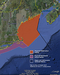 Gulf of Maine