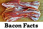 Bacon Facts