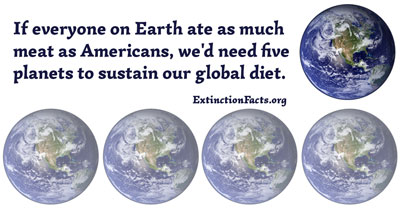 extinction facts
