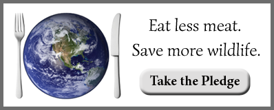 The planet and its wildlife need us to reduce our meat consumption. Take the pledge to eat less meat and save more wildlife.