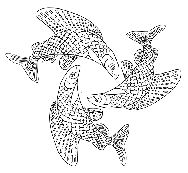 Arctic grayling