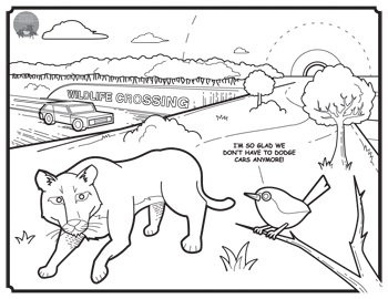 Lion wildlife crossing